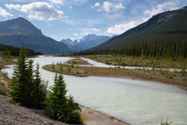 Athabasca Nehri, Jasper Ulusal Parkı, Rocky Dağları, Alberta,