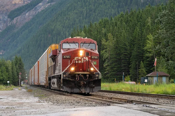 Logistik, tåg från Canadian Pacific Railway, Kanada — Stockfoto