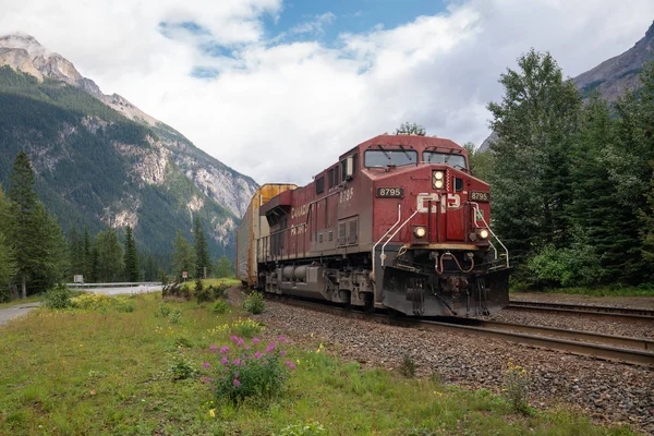 Logistics, train of Canadian Pacific Railway, Canada Стокове Фото