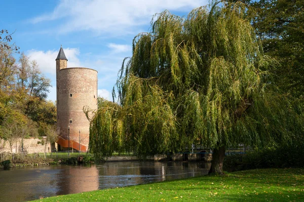 Bruges 'deki Minnewater Parkı' nın panoramik görüntüsü tarihi binalar, ağaçlar ve cennet kanalları, Flanders, Belçika