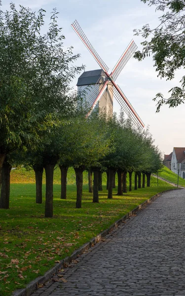 Historische Molen Vlakbij Brugse Grachten Met Herfstkleurige Bomen België — Stockfoto