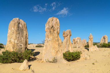 Pinnacles çöl, Nambung Milli Parkı, Batı Avustralya