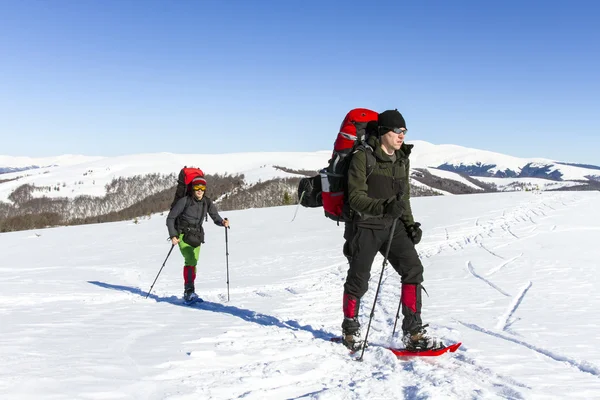 Caminhadas de inverno.Caminhadas de inverno nas montanhas em sapatos de neve com mochila e tenda . — Fotografia de Stock