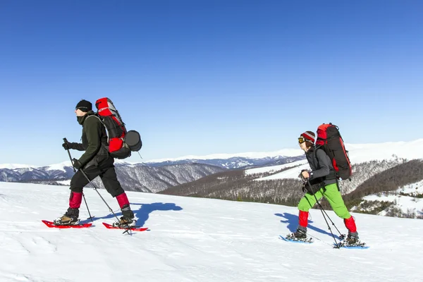 Senderismo de invierno en las montañas en raquetas de nieve con una mochila y tienda de campaña . — Foto de Stock