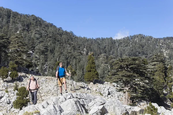 Summer hiking in the mountains. — Stock Photo, Image