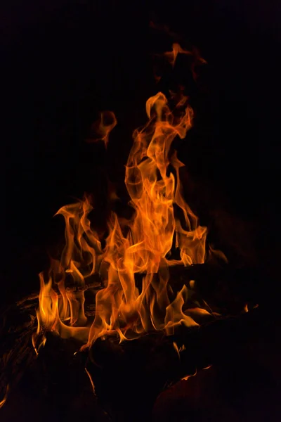 Flammes de feu.Illustration de la flamme de feu brûlante réaliste sur fond noir . — Photo