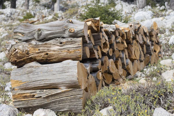 Firewood.Natural ξύλινο υπόβαθρο, καυσόξυλα, καυσόξυλα στοιβάζονται και να προετοιμαστεί για χρήση σωρό από ξύλο κορμών. — Φωτογραφία Αρχείου