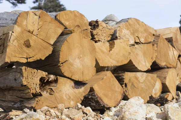 Φυσικό ξύλινο υπόβαθρο, καυσόξυλα, καυσόξυλα στοιβάζονται και να προετοιμαστεί για χρήση σωρό από ξύλο κορμών. — Φωτογραφία Αρχείου