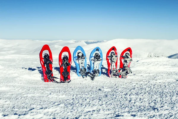 Caminhadas de inverno.Caminhadas de inverno nas montanhas em sapatos de neve com mochila e tenda . — Fotografia de Stock