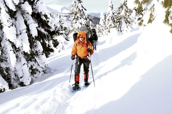 Winterwandern in den Bergen. — Stockfoto