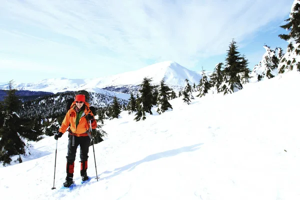 Winterwandelen in de bergen. — Stockfoto