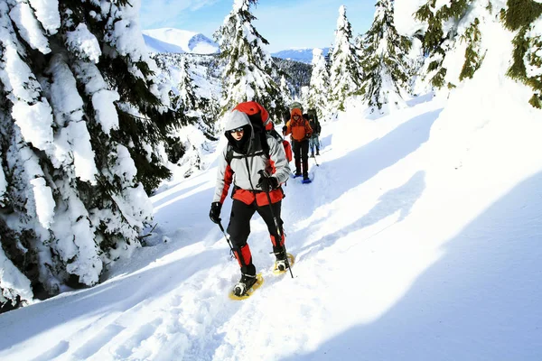 Caminhadas de inverno nas montanhas. — Fotografia de Stock