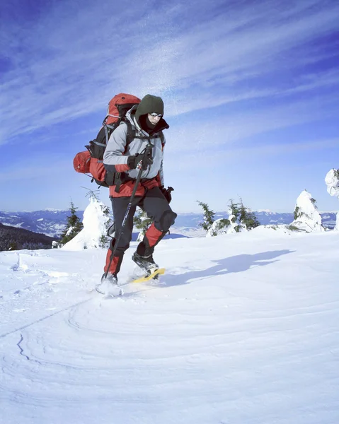 Winterwandelen in de bergen. — Stockfoto