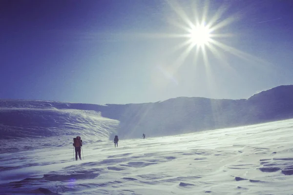 Winterwandelen in de bergen. — Stockfoto