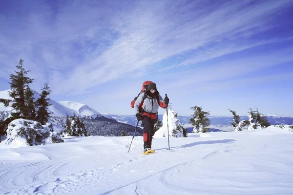 Winterwandelen in de bergen. — Stockfoto