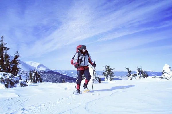 Winterwandern in den Bergen. — Stockfoto