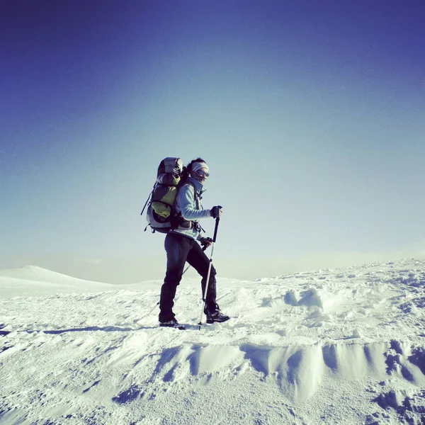 Randonnées hivernales en montagne. — Photo