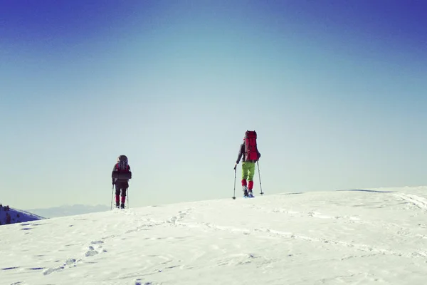 Randonnées hivernales en montagne. — Photo