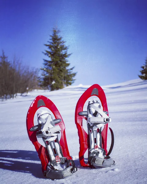 Winterwandelen in de bergen. — Stockfoto