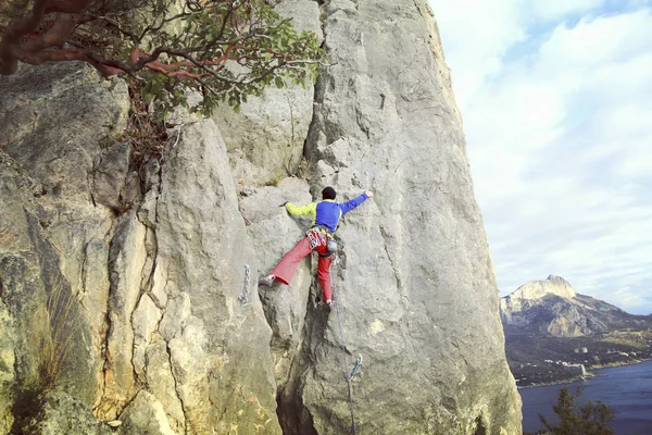 Arka planda geniş Vadisi ile kireçtaşı duvara tırmanma sallamak Climber.Young adam