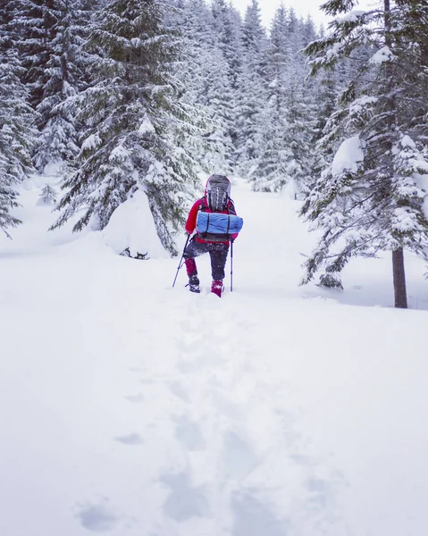 Téli túrázás. Téli túrázás a hegyekben a hótalp hátizsák és sátor. — Stock Fotó