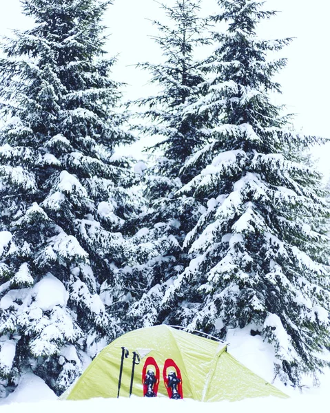 Winter hiking.Winter hiking in the mountains on snowshoes with a backpack and tent.