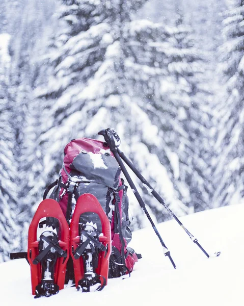 Winter hiking.Winter hiking in the mountains on snowshoes with a backpack and tent.