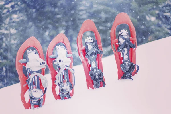 Caminhadas de inverno.Caminhadas de inverno nas montanhas em sapatos de neve com mochila e tenda . — Fotografia de Stock