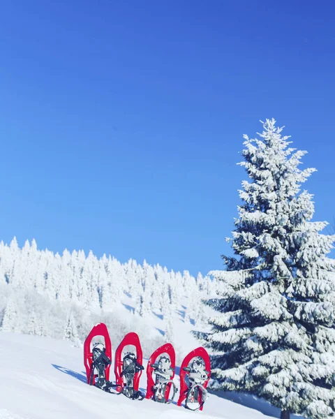 Hiking kış. Dağlarda kar ayakkabıları bir sırt çantası ve çadır hiking kış. — Stok fotoğraf