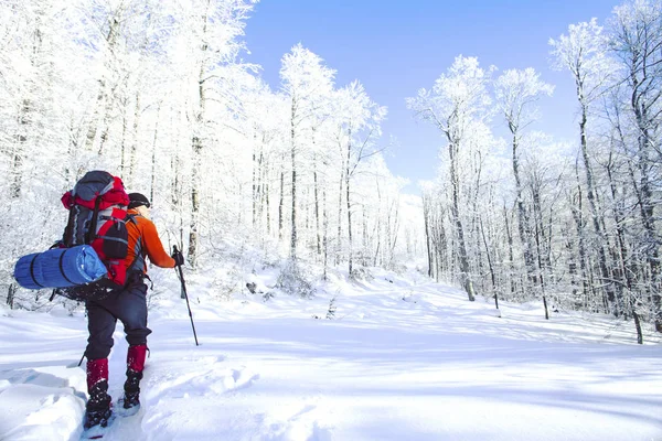 Senderismo de invierno en las montañas en raquetas de nieve con una mochila y tienda de campaña . — Foto de Stock