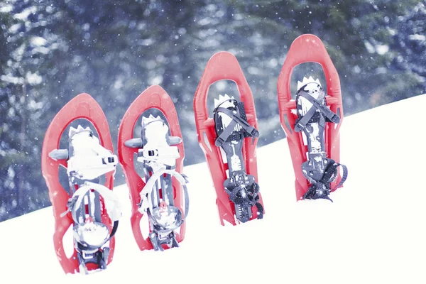 Winter hiking.Winter hiking in the mountains on snowshoes with a backpack and tent. — Stock Photo, Image