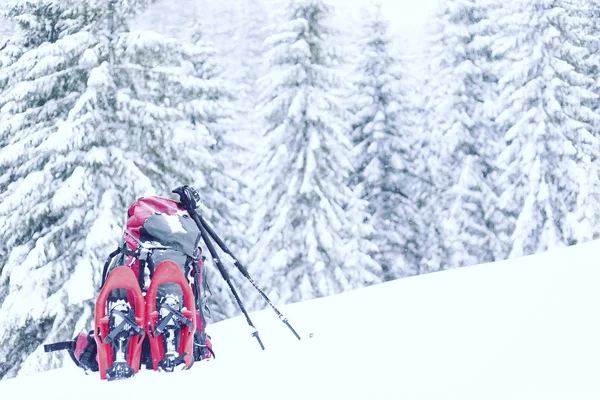 Caminhadas de inverno.Caminhadas de inverno nas montanhas em sapatos de neve com mochila e tenda . — Fotografia de Stock