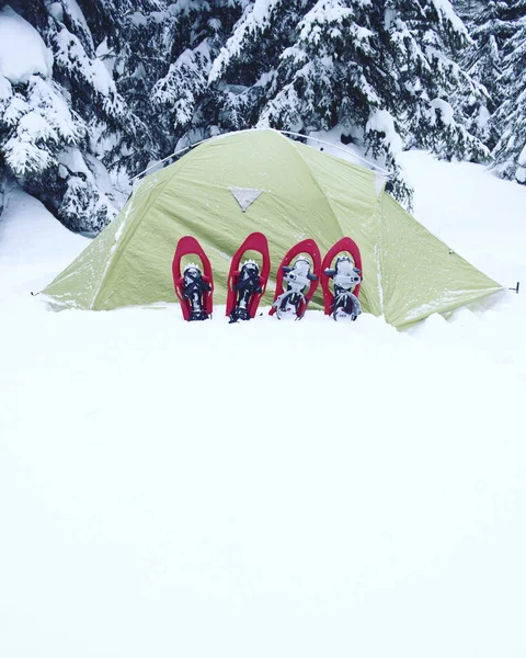 Caminhadas de inverno.Caminhadas de inverno nas montanhas em sapatos de neve com mochila e tenda . — Fotografia de Stock