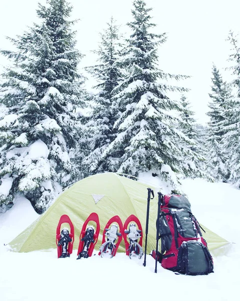 Winter hiking.Winter hiking in the mountains on snowshoes with a backpack and tent. — Stock Photo, Image