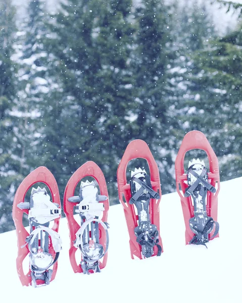 Caminhadas de inverno.Caminhadas de inverno nas montanhas em sapatos de neve com mochila e tenda . — Fotografia de Stock