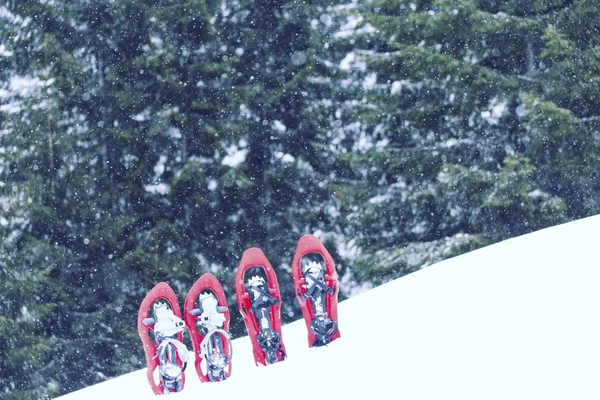 Senderismo de invierno en las montañas en raquetas de nieve con una mochila y tienda de campaña . —  Fotos de Stock