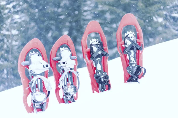 Caminhadas de inverno.Caminhadas de inverno nas montanhas em sapatos de neve com mochila e tenda . — Fotografia de Stock