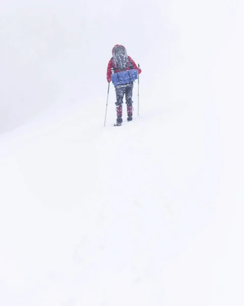 Winterwandelingen. Winter in de bergen te wandelen op sneeuwschoenen met een rugzak en tent. — Stockfoto