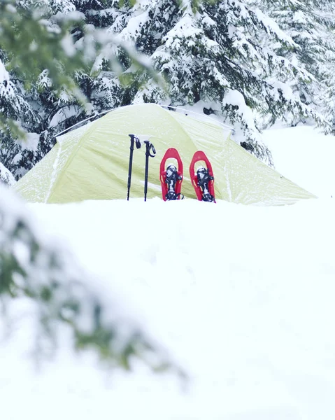 Hiking kış. Dağlarda kar ayakkabıları bir sırt çantası ve çadır hiking kış. — Stok fotoğraf