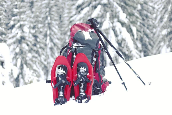 Winterwandelingen. Winter in de bergen te wandelen op sneeuwschoenen met een rugzak en tent. — Stockfoto