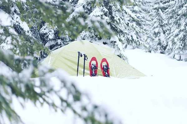 Caminhadas de inverno.Caminhadas de inverno nas montanhas em sapatos de neve com mochila e tenda . — Fotografia de Stock