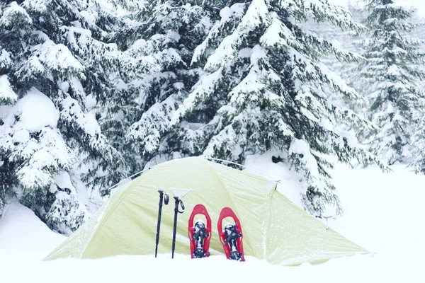 Hiking kış. Dağlarda kar ayakkabıları bir sırt çantası ve çadır hiking kış. — Stok fotoğraf