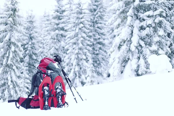 Caminhadas de inverno.Caminhadas de inverno nas montanhas em sapatos de neve com mochila e tenda . — Fotografia de Stock