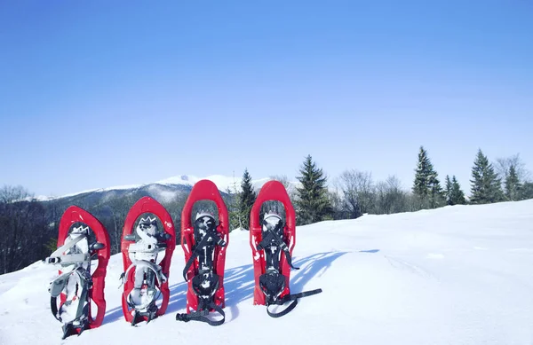 Senderismo de invierno en las montañas en raquetas de nieve con una mochila y tienda de campaña . —  Fotos de Stock