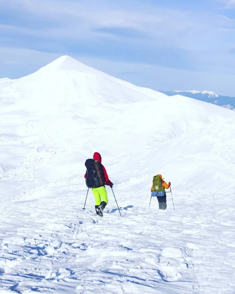 Senderismo de invierno en las montañas en raquetas de nieve con una mochila y tienda de campaña . — Foto de Stock