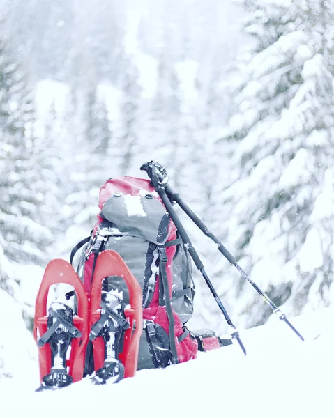 Caminhadas de inverno.Caminhadas de inverno nas montanhas em sapatos de neve com mochila e tenda . — Fotografia de Stock