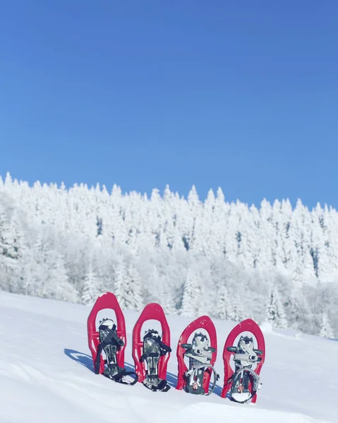 Senderismo de invierno en las montañas en raquetas de nieve con una mochila y tienda de campaña . — Foto de Stock