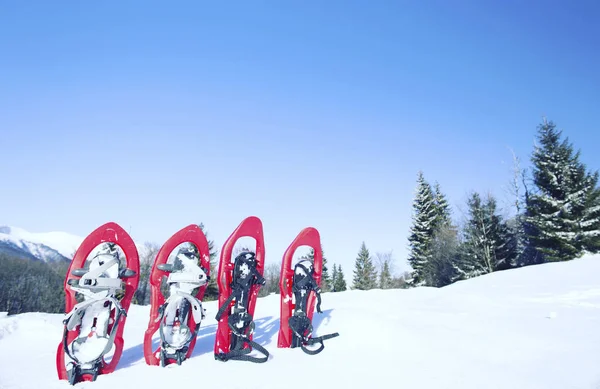 Caminhadas de inverno.Caminhadas de inverno nas montanhas em sapatos de neve com mochila e tenda . — Fotografia de Stock