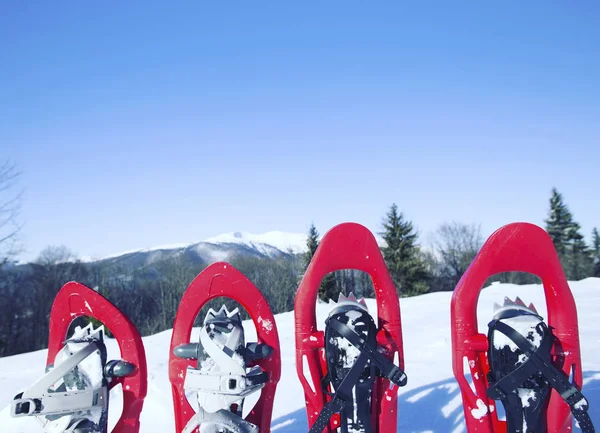 Winterwandelingen. Winter in de bergen te wandelen op sneeuwschoenen met een rugzak en tent. — Stockfoto