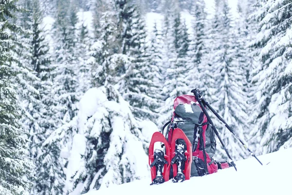 Winterwandern in den Bergen auf Schneeschuhen mit Rucksack und Zelt. — Stockfoto